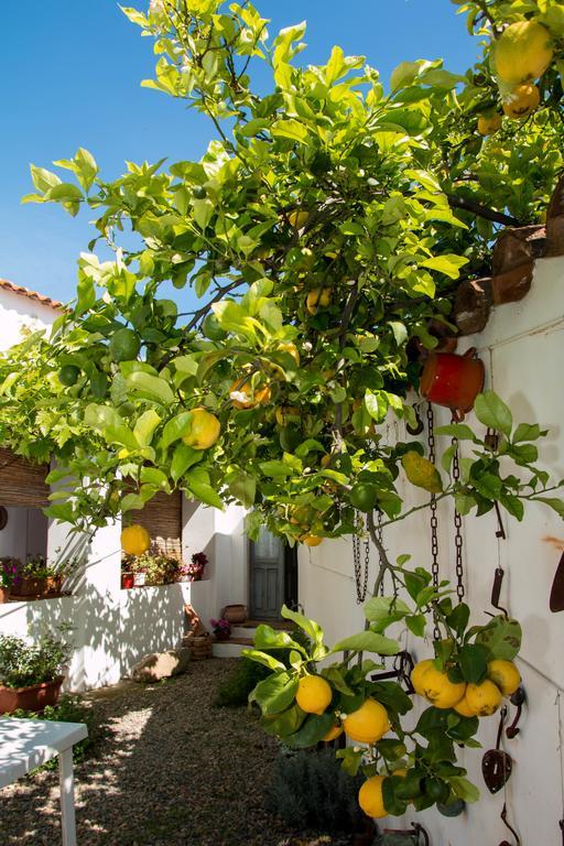 B&B Martina San Vito  Exterior foto