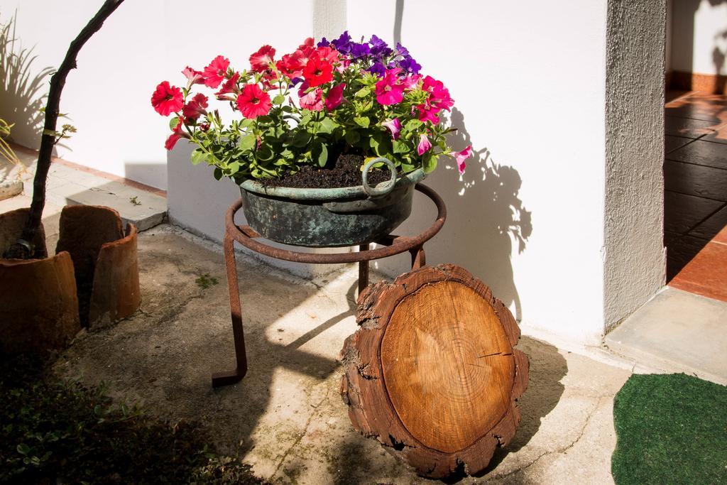 B&B Martina San Vito  Exterior foto